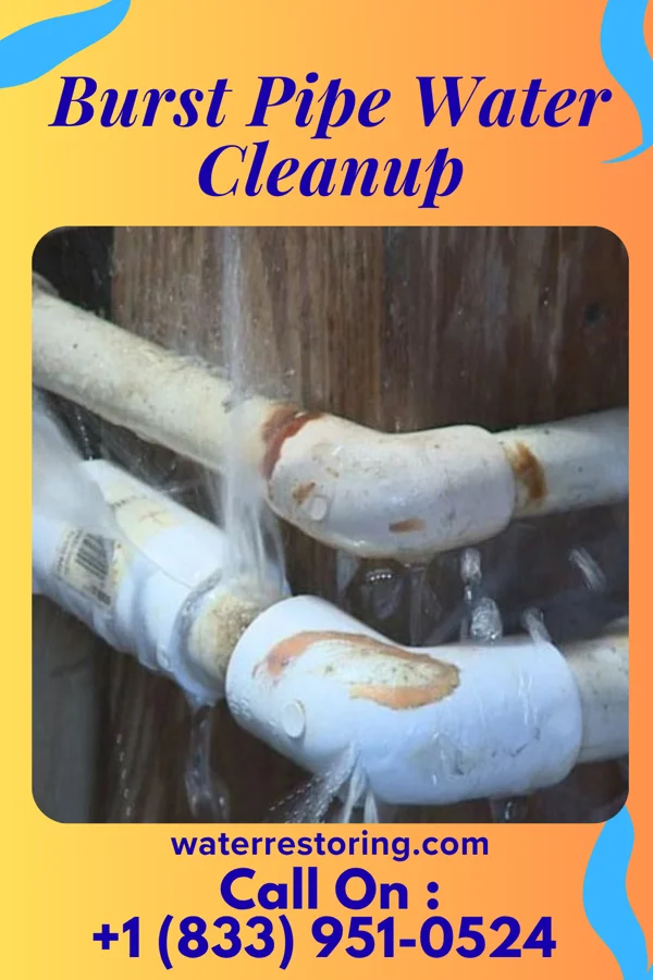 Burst Pipe Water Cleanup in Bairdstown, OH