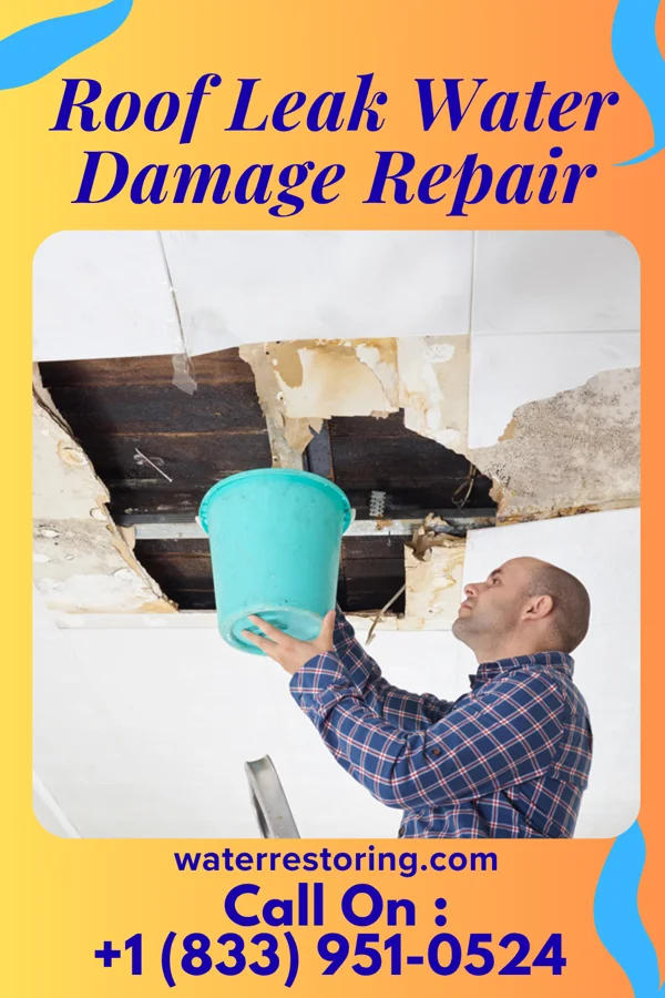 Roof Leak Water Damage Repair in Bairdstown, OH