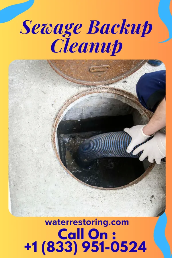 Sewage Backup Cleanup in Bairdstown, OH