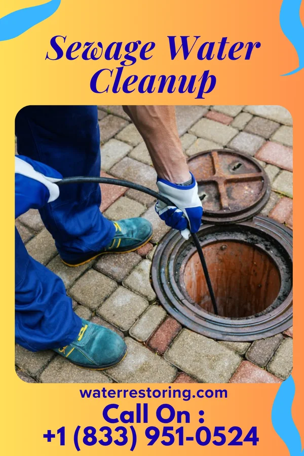 Sewage Water Cleanup in Bairdstown, OH