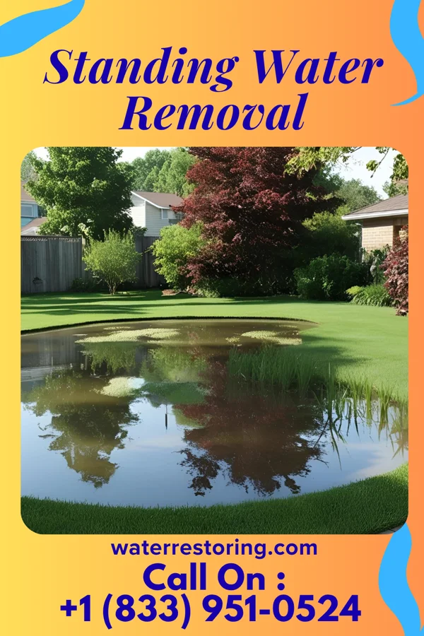 Standing Water Removal in Bairdstown, OH